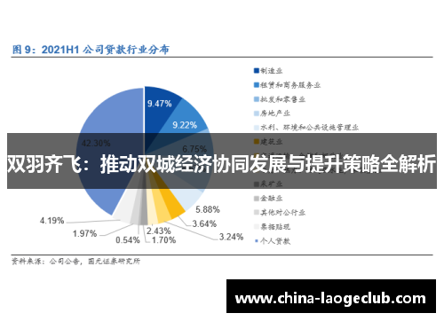 双羽齐飞：推动双城经济协同发展与提升策略全解析