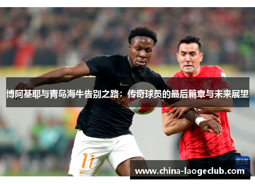 博阿基耶与青岛海牛告别之路:传奇球员的最后篇章与未来展望 博阿基耶与青岛海牛告别之路:传奇球员的最后篇章与未来展望