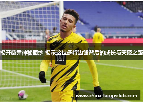 揭开桑乔神秘面纱 揭示这位多特边锋背后的成长与突破之路