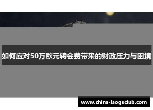 如何应对50万欧元转会费带来的财政压力与困境 如何应对50万欧元转会费带来的财政压力与困境