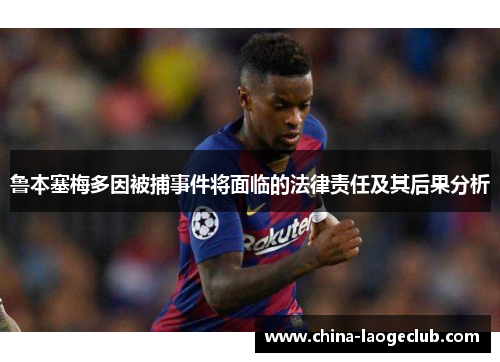 鲁本塞梅多因被捕事件将面临的法律责任及其后果分析